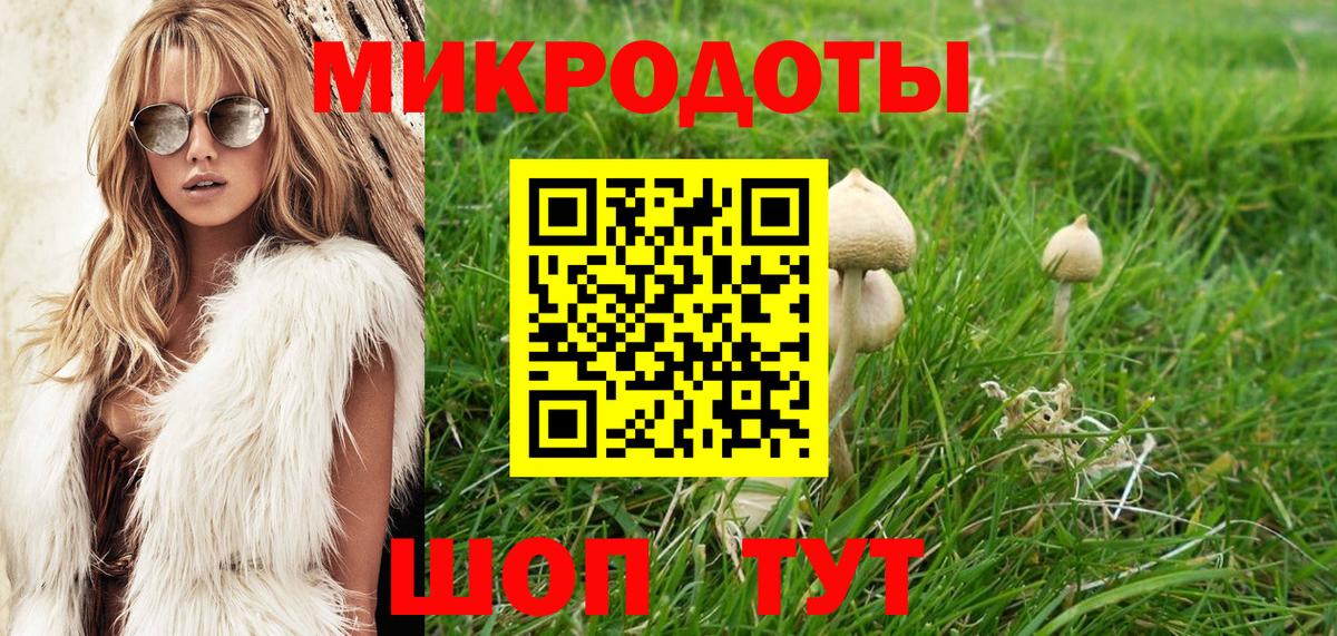 Лениногорск  Псилоцибиновые грибы Cubensis  Вход с VPN 
